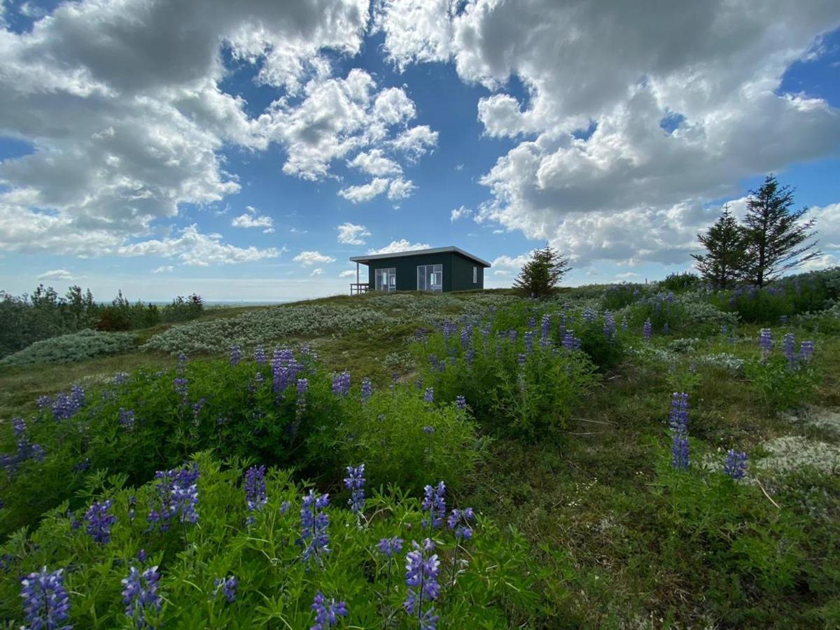 Villa Skeithvellir Panorama House Hella Exterior foto